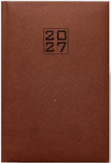 Agenda Omega 2027 día por hoja c/ separador mensual A5